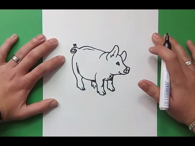 Como Dibujar Un Cerdo Paso A Paso How To Draw A Piglet Social