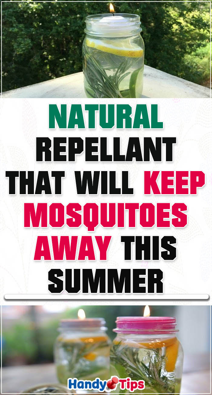 Natural repellant that will keep mosquitoes away this summer 4