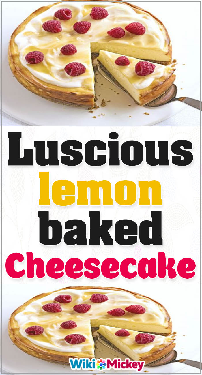 Luscious lemon baked cheesecake 2