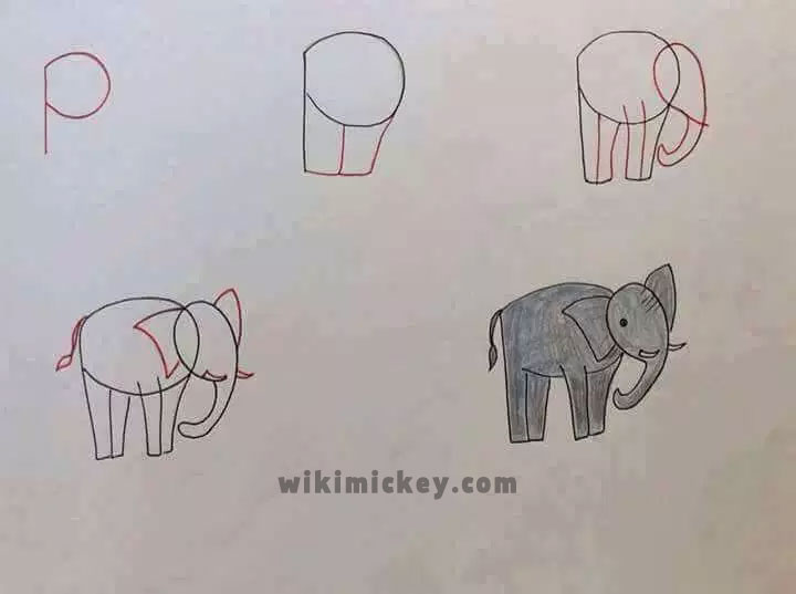 easy drawing ideas for kids easy draw elephant kolay çizim fil çizimi
