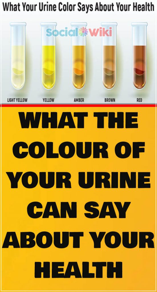 what-the-colour-of-your-urine-can-say-about-your-health