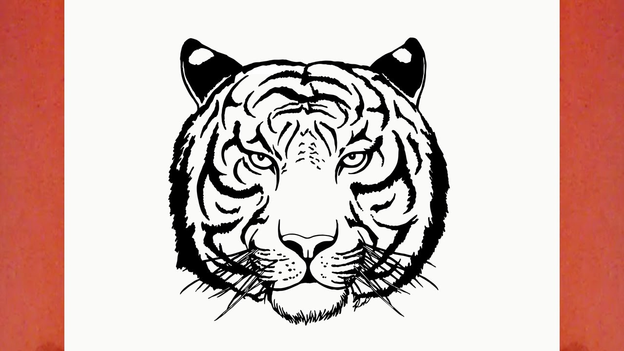 Comment dessiner un Tigre (animaux) | Social Useful Stuff - Handy Tips