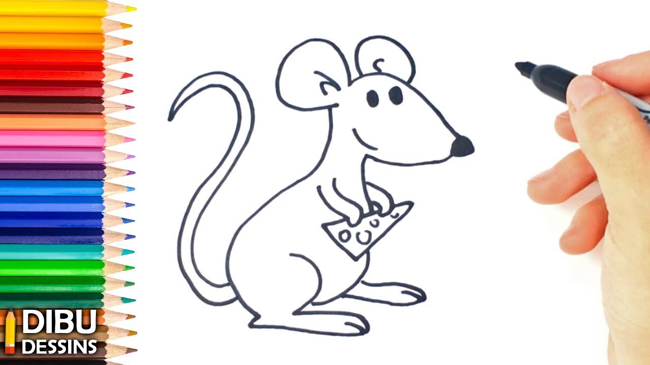 Comment dessiner une Souris| Dessins faciles | Social Useful Stuff