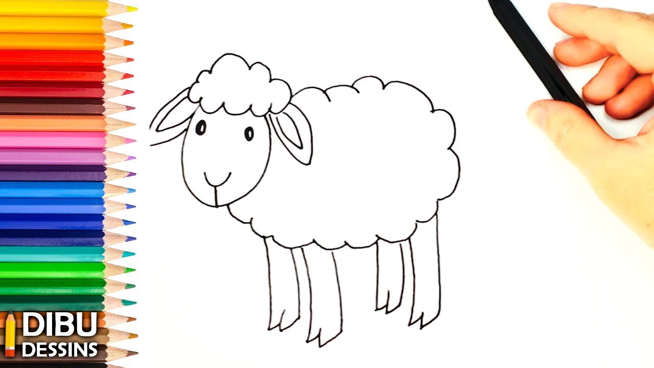 Comment dessiner un Mouton | Dessin de Mouton | Social Useful Stuff