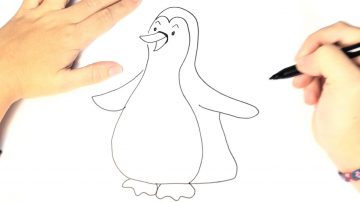 drawing a Penguin  Social Useful Stuff - Handy Tips