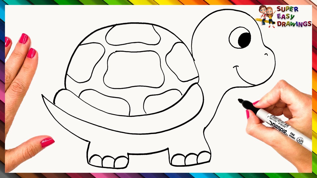 How To Draw A Turtle Step By Step 🐢 Turtle Drawing Easy   Easy ...