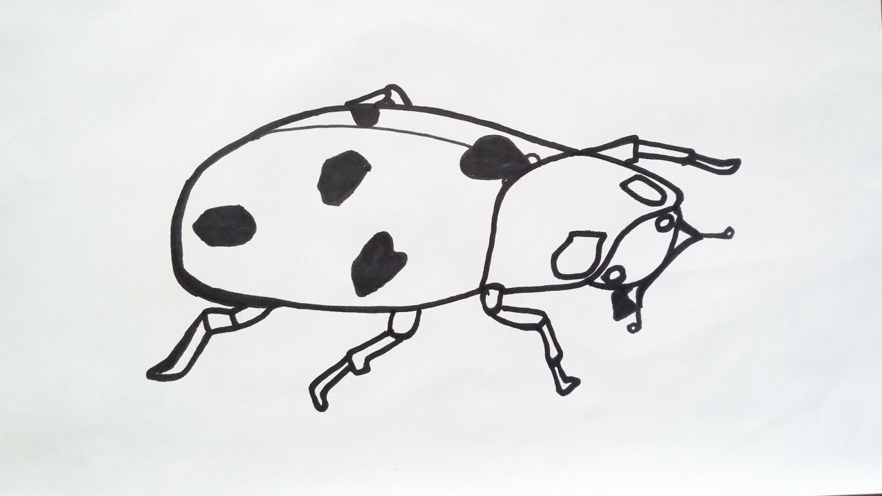 Как рисовать коровку. Нарисовать Божью корову. Нарисовать Божью корову для детей. Как нарисовать коровку. Рисование Божья коровка с карандашами в средней группе.