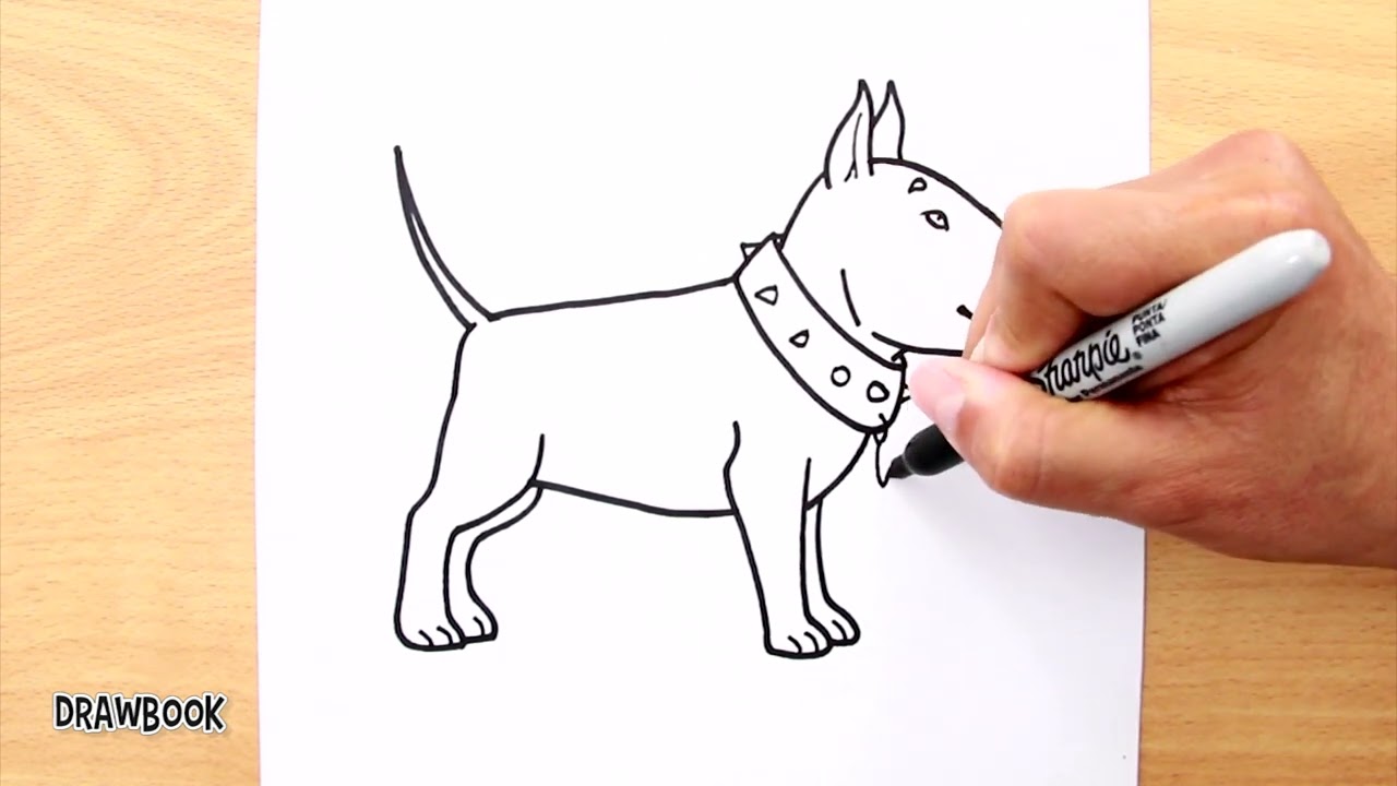 How to draw BULL TERRIER Dog (easy) Easy Drawings Dibujos Faciles