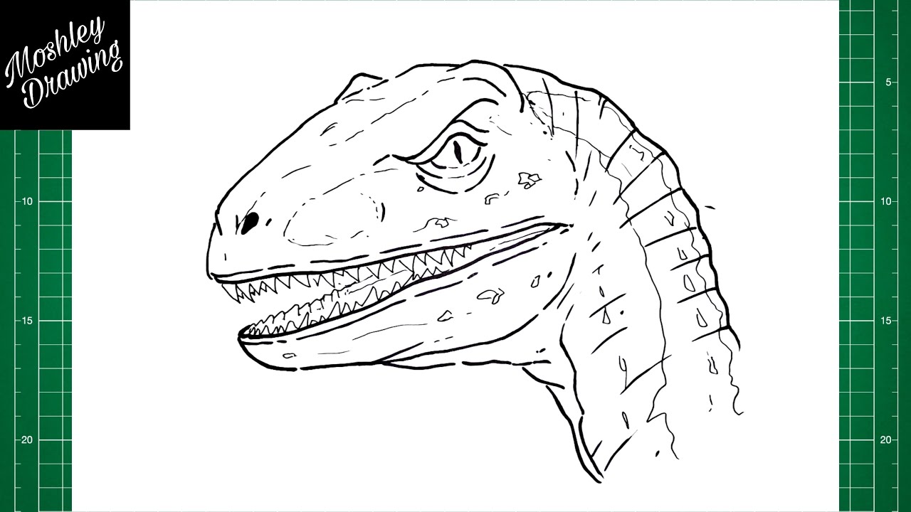 How to Draw a Raptor Head Easy Step by Step | Easy Drawings - Dibujos ...