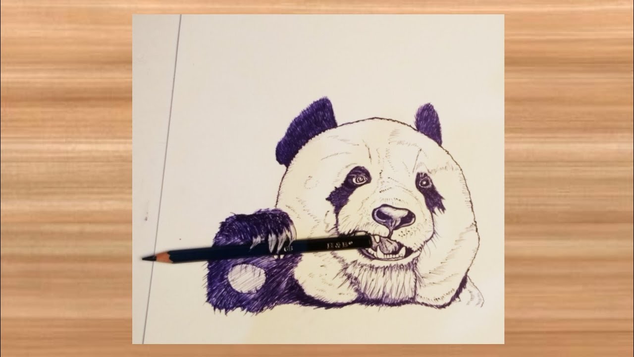 3D Panda Drawing || How to draw 3D art || real drawing | Easy Drawings ...